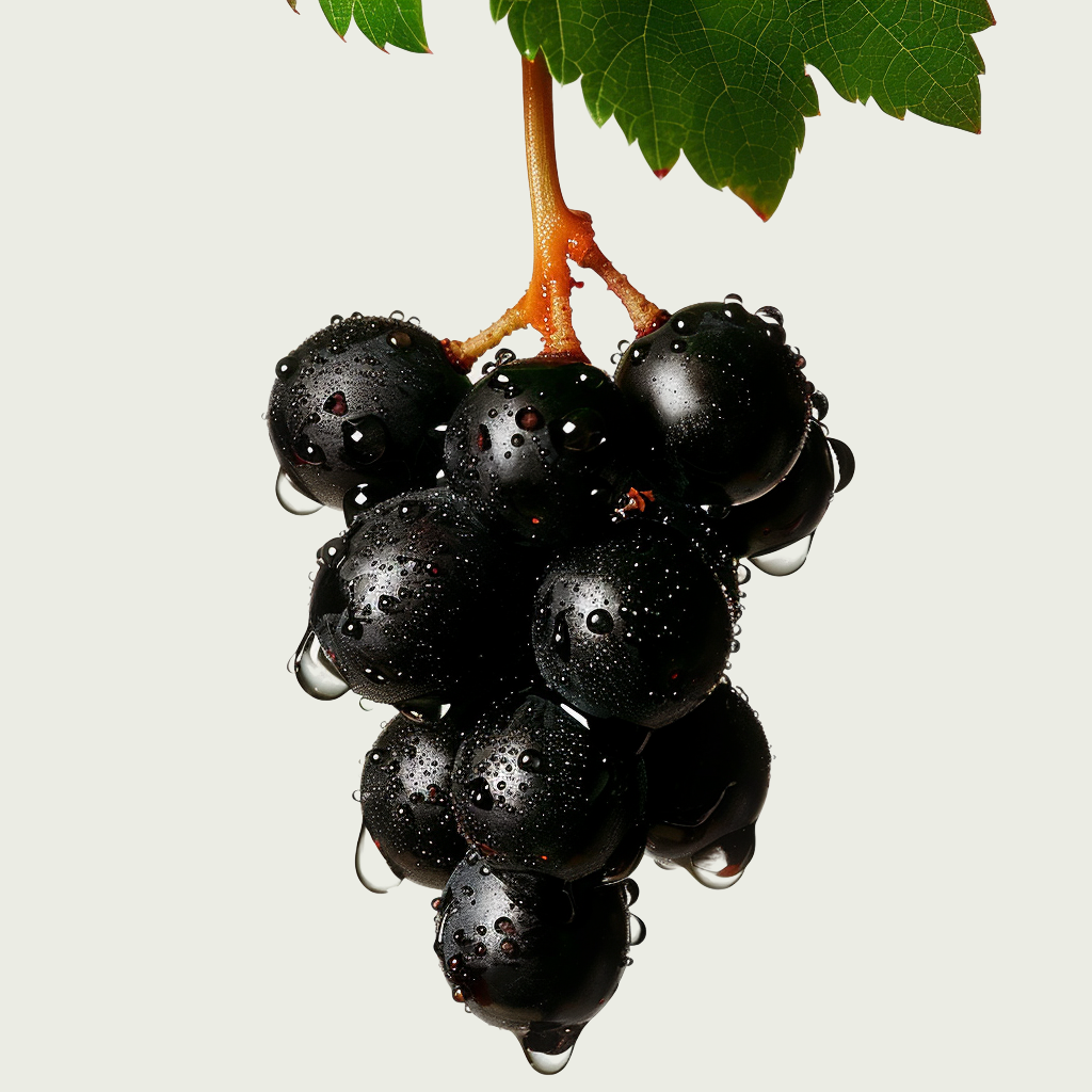 resveratrol