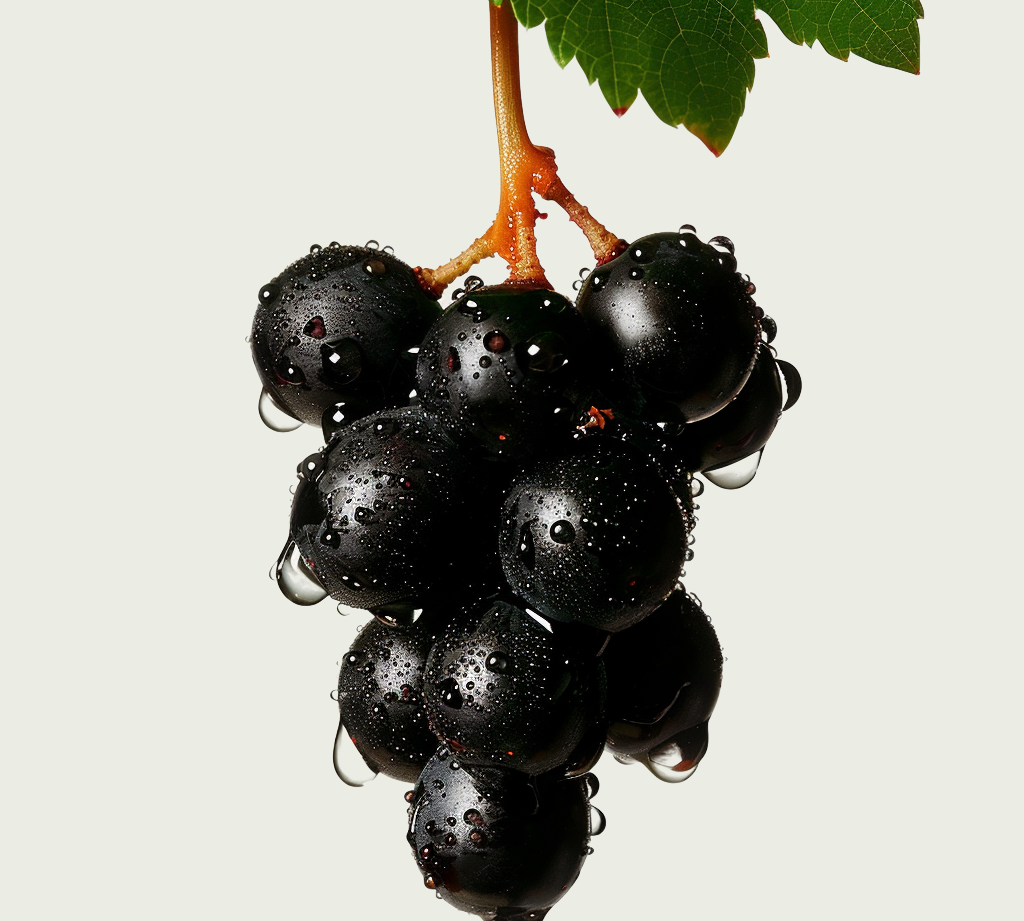 resveratrol